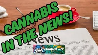 THC News