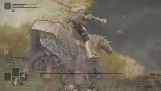 Wild Strikes is OP in Elden Ring #eldenring