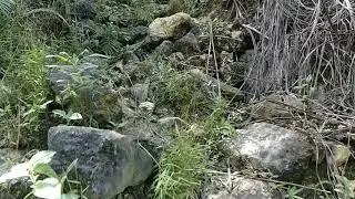 Instahike at Makapiko River