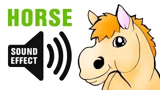Horse sound - Neigh