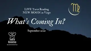 *New Moon in Virgo* LIVE Tarot Reading: What's Coming In? September 2021