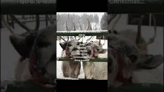 CHRISTMAS!!!😍💃💃✝️ #christmas #fyyppppp #christiangirl #godsgirl #jesusfreak #christmas2025 #jesus