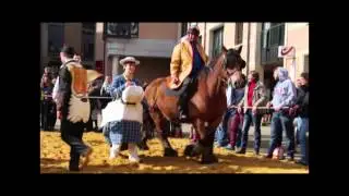 Doudou de la Montoise 2015 &agrave; Louvain-la-Neuve