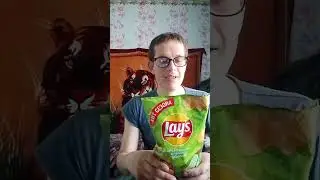 ЭКСПРЕСС-ОБЗОР LAY'S МАЛОСОЛЬНЫЕ ОГУРЧИКИ С УКРОПОМ #shorts #еда #обзор