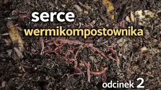 Dżdżownice kompostowe i mikroorganizmy.🪱🪱🪱