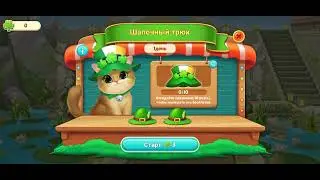 kitten matcn обзор события дня святого Патрика 🍀🍀🍀