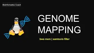 Учебное пособие по картированию генома с помощью BWA | Фильтрация файлов BAM | (bwa mem | samtools view | samtools filter)