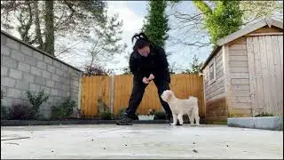 Toby weave 15 01 2026