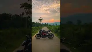 Duke 250 status video #shorts #status #whatsappstatus #duke250 #trending #bikes #ktm
