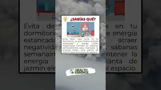🛏️✨ &iexcl;Mant&eacute;n tu dormitorio libre de energ&iacute;a estancada!