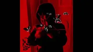 Axxturel Strict Money Diet IG snippet