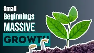 The Power of Small Beginnings: Biblical Wisdom for Life - Changing Growth