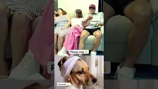 Doggy lovers #puppy #doggielife #funny #petsrule
