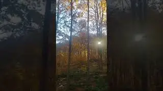 Kartepe Kuzuyayla 3 Kasım 2024