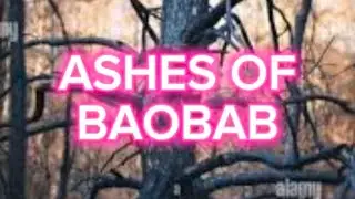 Ashes Of Baobab #africa #zarastory #nigerianfolktales
