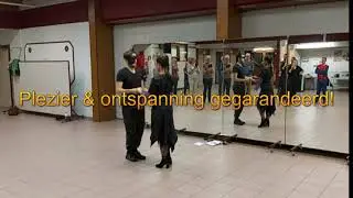 Discoswing