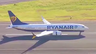 23 BEAUTIFUL MORNING LANDINGS at MADEIRA AIRPORT (FNC || LPMA)