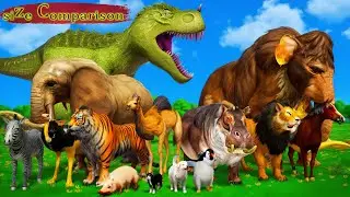 Animal Size Comparison | 3d Animation Comparison | Real Scale Comparison
