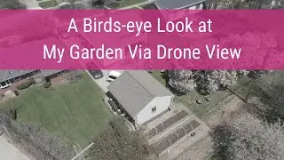 A Birds-eye look at my Garden via drone view