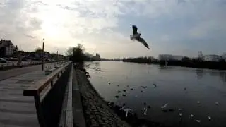 GoPro Hero 6 slow Motion crop 2.7K to FHD 100fps to 25fps Youtube Encoding Settings