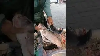 Fish cutting#fish#cutting#shortsfeed#trending#youtubeshorts#shortvideo#subscribe#pakistan#islamabad