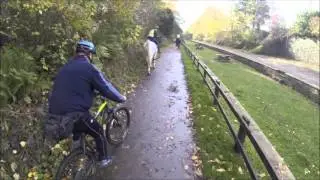 Middlewood Way - Middlewood Station to Boars Head - SAVE Middlewood Way