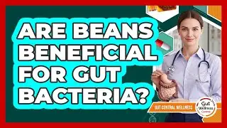 Are Beans Beneficial For Gut Bacteria?