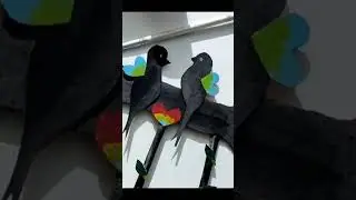 Two little birds sitting on a branch, one named Peter n one named Paul..🍃🍂