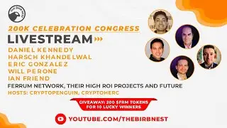 Ferrum Network, Their High ROI Projects And Future