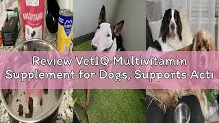 Review VetIQ Multivitamin Supplement for Dogs, Supports Active Brain Function, Immune System, and Di