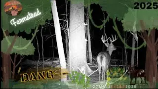 Trail Camera 9 New Location close to the road