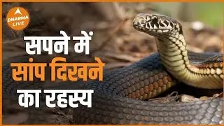#सपना में सांप दिखने का मतलब