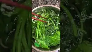 Cooking Japanese Style Spinach Ohitashi (side dish of boiled seasoned spinach) !!