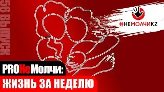 Жизнь за неделю'56: 