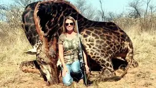 Celebrities Blast Woman Who Shot Elderly Giraffe During African Safari