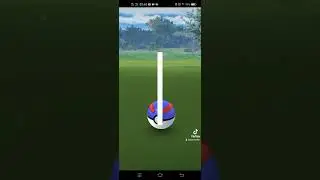 117 Pokemon Go - Sewaddle I @cruziantv9451