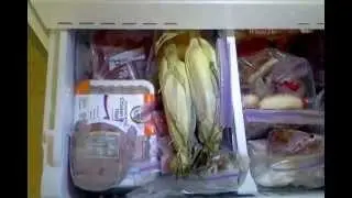 Organizing a Bottom Drawer Freezer
