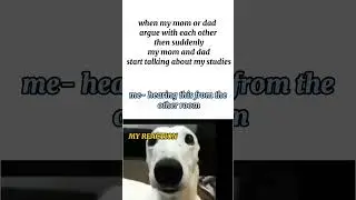 #meme#story telling #😆 studies