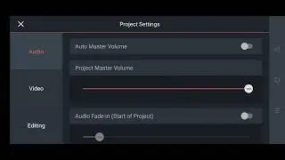 How To Setting Of Kinemaster ll Best Tutorial Video ll Shadab Technical