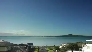Sinabongoa sumendia. Indonesia. 2019-6-4