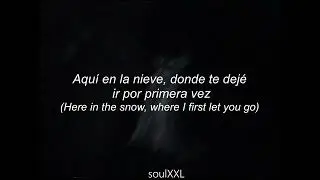Puma Blue - tapestry (Subtitulado espa&ntilde;ol)//Lyrics//