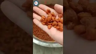 Efficient Pet Dog Food And Cat Food Making Machine