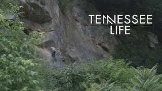 Tennessee Life: Outdoor Adventures