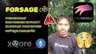 Forsage Scam: হাজারো মানুষ কেন ধোঁকা খেলো? | MetaForce নতুন ফাঁদ ? #forsage