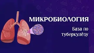 Частная микробиология - Туберкулёз