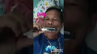 harmony song