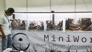 Pameran disingapore,karya pakne kenzho dipajang disini