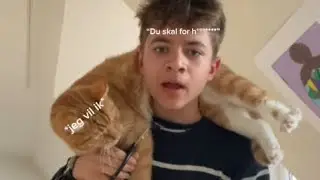 Klipper negle p&aring; min kat (Anton) Part 1 2 3 🐈💅🏼✂️🤬😤🤯