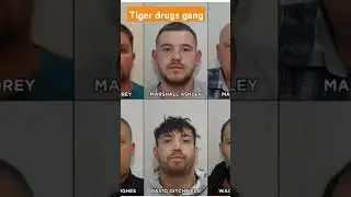 The tiger drugs gang.