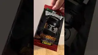 Je fais un pack opening de carte steal &agrave; brainrot (panini)